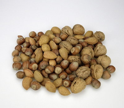 Kostenloses Foto Nüsse, Nuss, Nussfrucht, Haselnüsse, Walnüsse